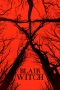 Blair Witch (2016) Blair Witch (2016)