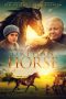 Orphan Horse (2018) Orphan Horse (2018)