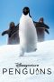 Penguins (2019) Penguins (2019)