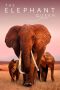 Download Streaming Film The Elephant Queen (2019) Subtitle Indonesia Download Streaming Film The Elephant Queen (2019) Subtitle Indonesia