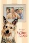Because of Winn-Dixie (2005) Because of Winn-Dixie (2005)