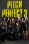 Pitch Perfect 3 (2017) Pitch Perfect 3 (2017)