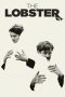 The Lobster (2015) The Lobster (2015)