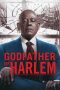 Godfather of Harlem Godfather of Harlem