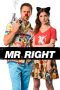 Mr. Right (2015) Mr. Right (2015)