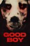 Download Streaming Film Good Boy (2022) Subtitle Indonesia Download Streaming Film Good Boy (2022) Subtitle Indonesia